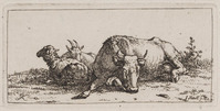 KG 07988
<br/>
Koe, geit en schaap, liggend
<br/>
<em>Kobell, Jan Baptist (1778-1814)</em>